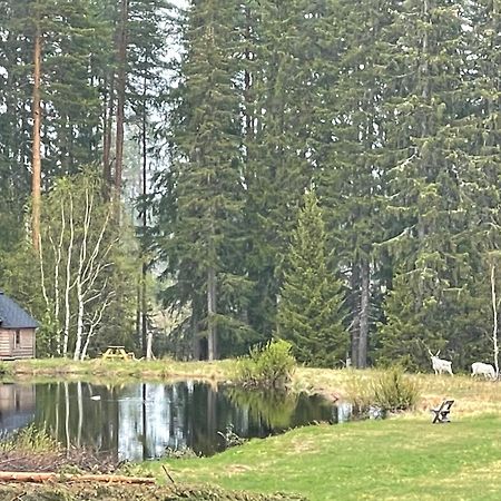 Dalsvallen Sveg Buitenkant foto